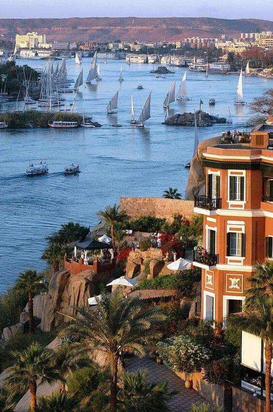 The Gentle Pulse of Aswan: A Journey into Nubian Soul and Nile Life